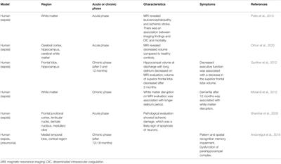 Sepsis-Associated Encephalopathy: A Mini-Review of Inflammation in the Brain and Body